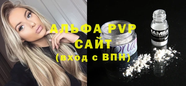 дживик Арсеньев