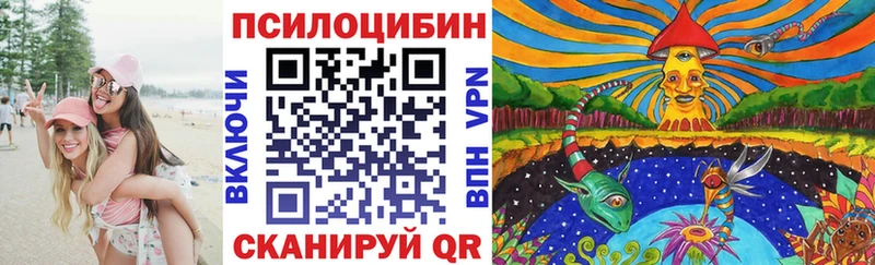 Псилоцибиновые грибы мухоморы  продажа наркотиков  Калтан 