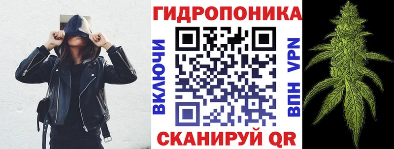 Бошки марихуана марихуана  OMG зеркало  Калтан 